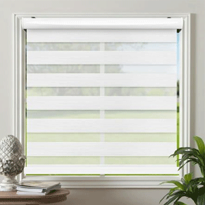 Window Blinds & Shades
