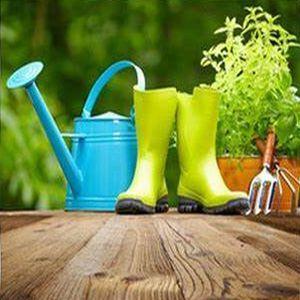  Gardening