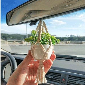 Vehicle Decor