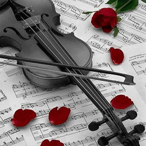  Musical Instruments