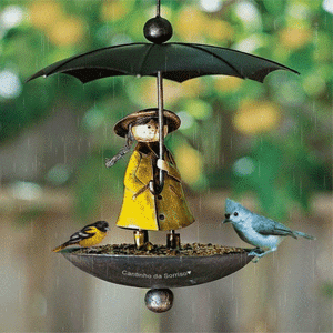  Bird & Wildlife Feeders