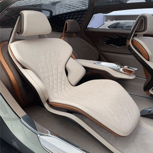  Motor Vehicle Seating