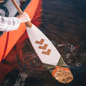Paddles & Oars