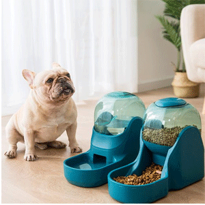  Pet Bowls Feeders & Waterers