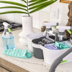 Household Cleaning Products