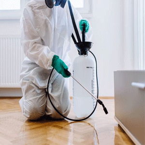 Pest Control