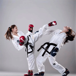  Boxing & Martial Arts