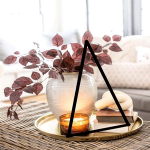  Decor Essentials