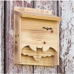  Bat Houses
