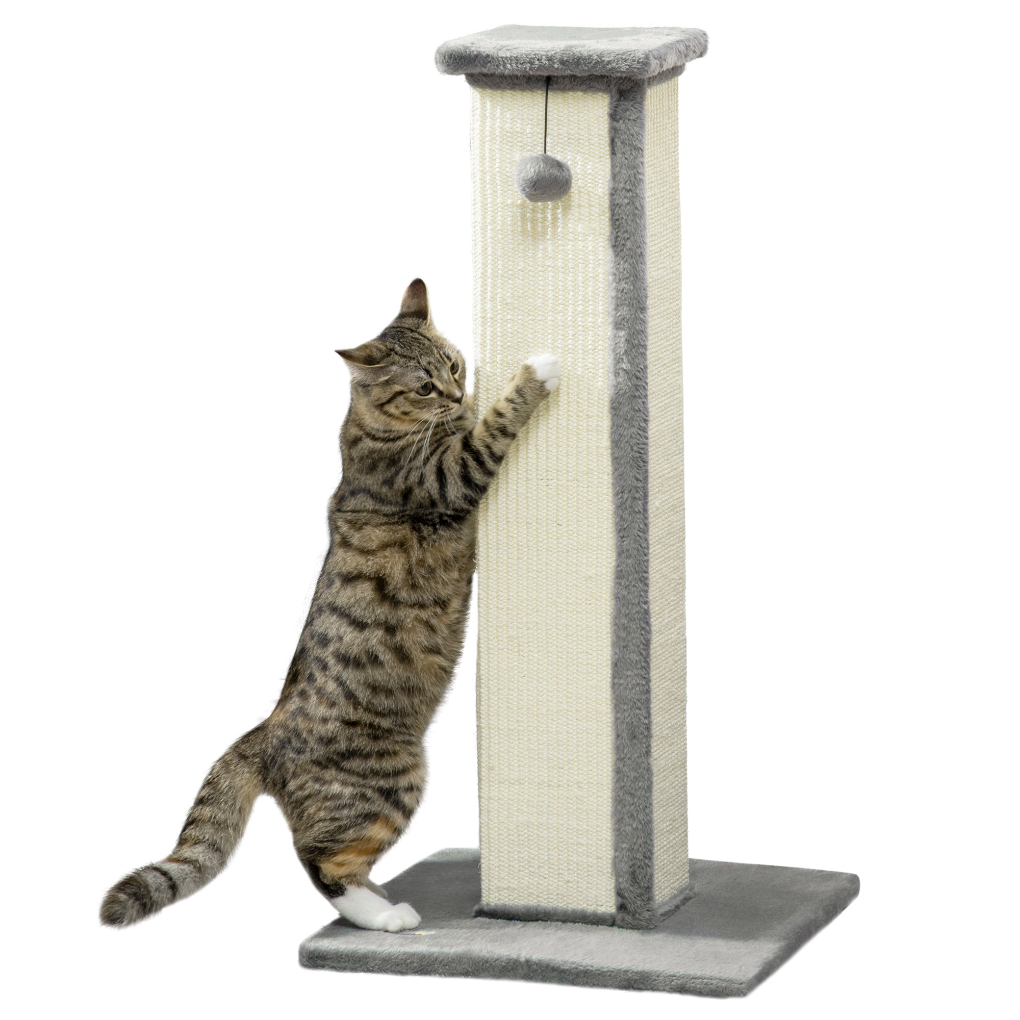 81cm Cat Scratcher, Vertical Full Scratcher with Natural Sisal Rope, Hanging Ball and Soft Plush, Grey