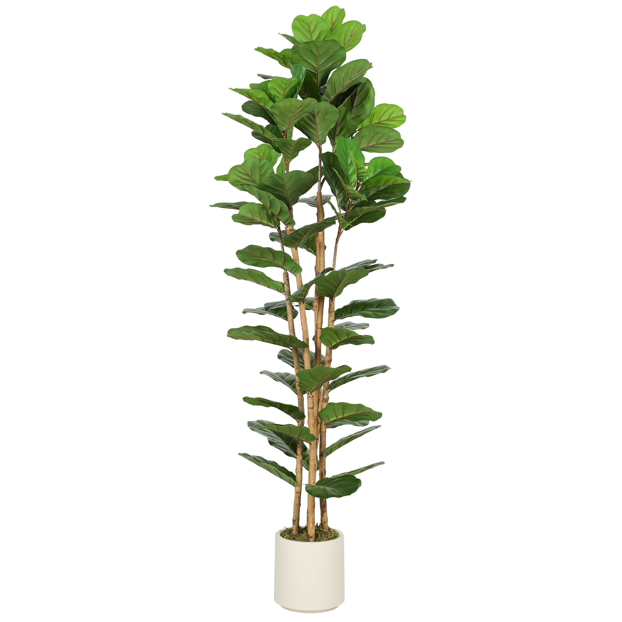 UMBLUX PEVA Artificial Fiddle Leaf Fig Tree - Green, 55cm