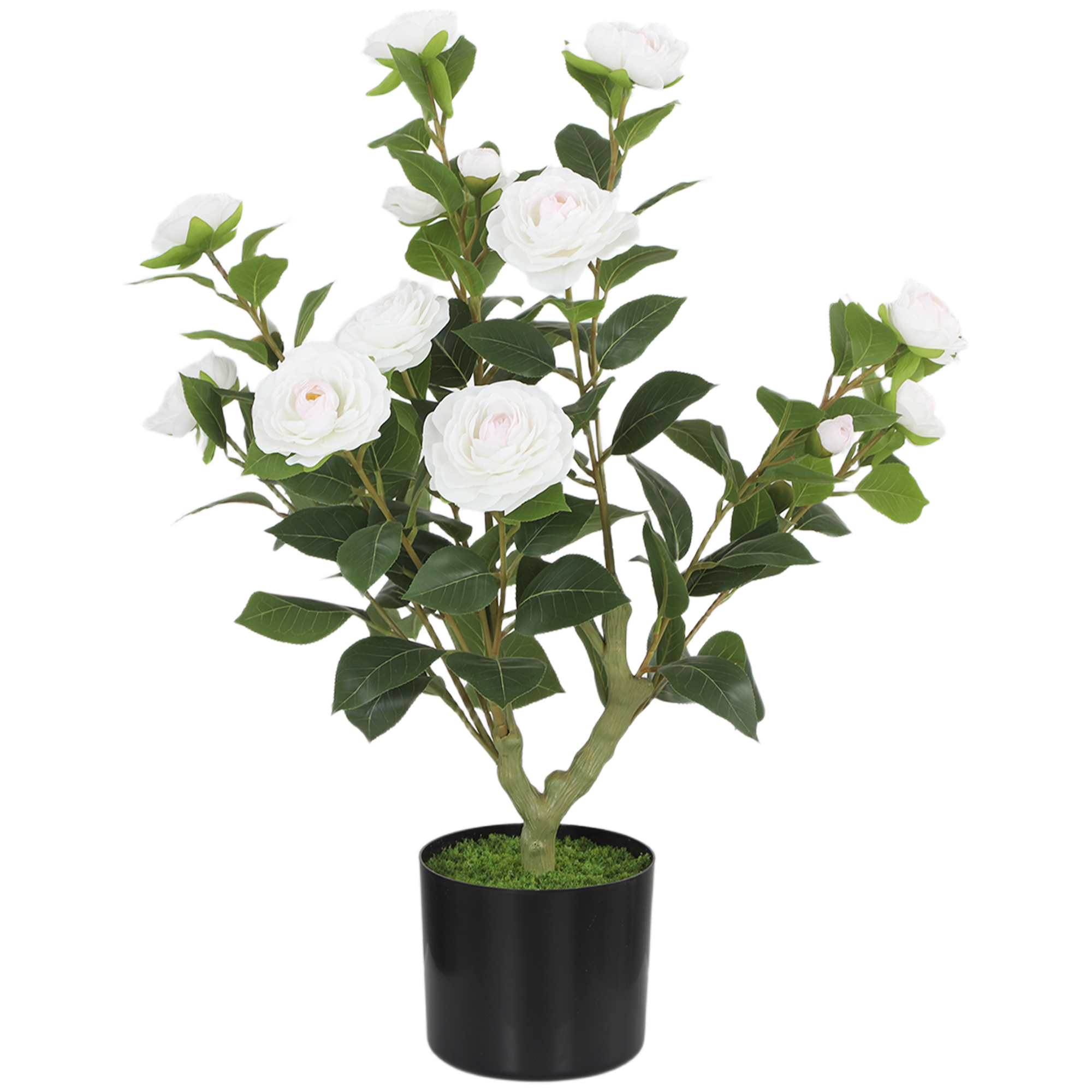 Chemere White Fabric Artificial Plant - 65cm