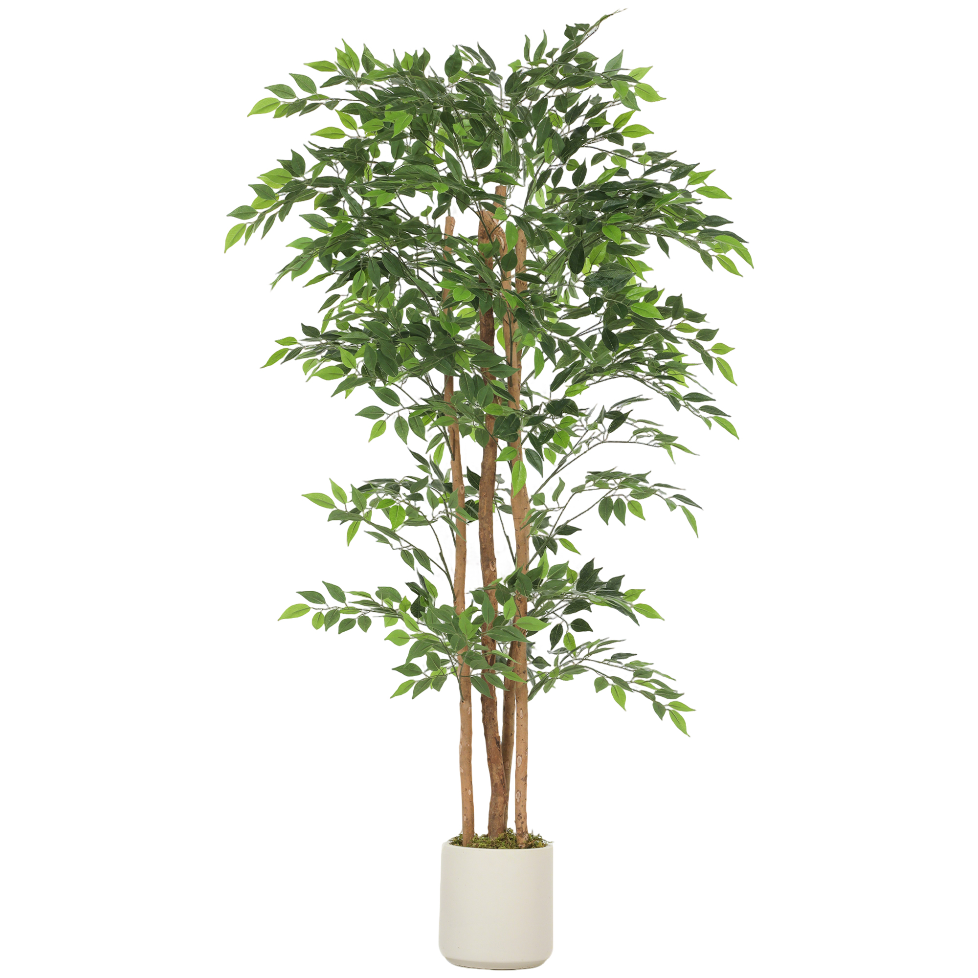RAVYOR 180 cm Artificial Ficus Tree with Solid Wood Trunk and Pot - Green and White