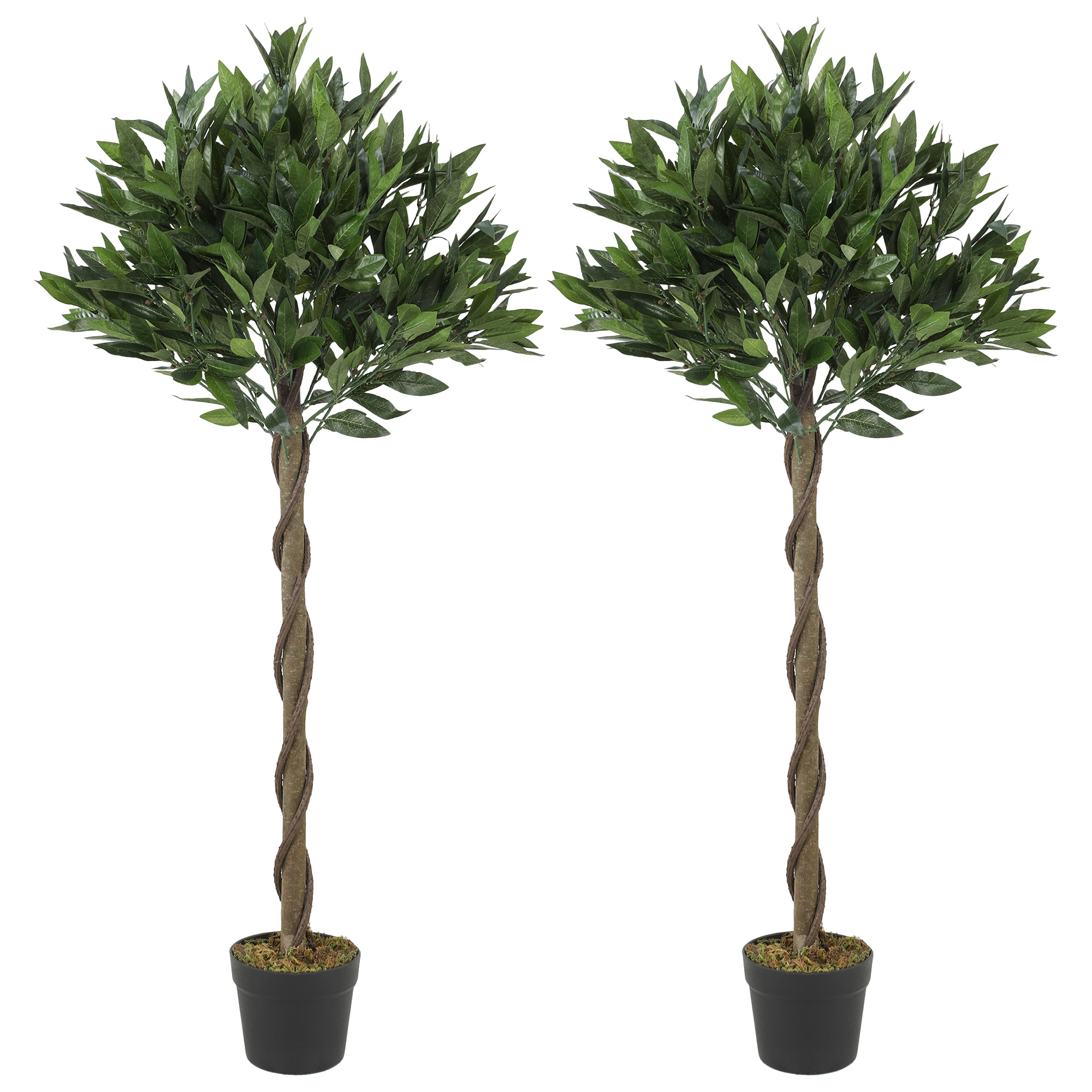 GILLINGHAM Set of 2 Artificial Bay Laurel Topiary Trees with Twisted Trunks and Weighted Pots - Green