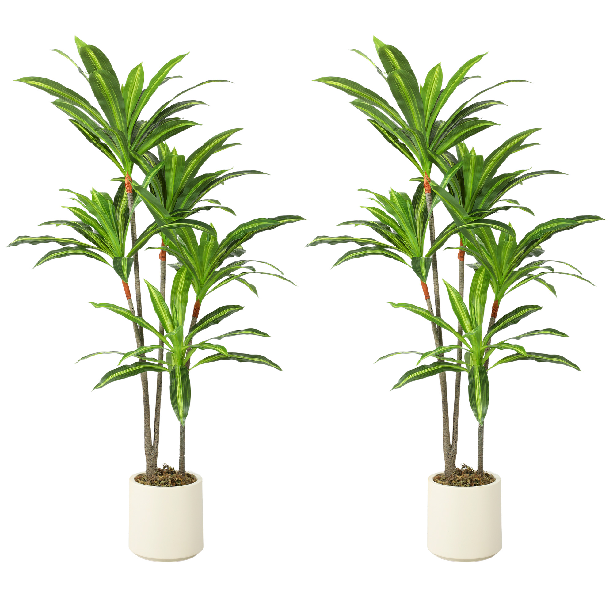 MONARA 150 cm Artificial Dracaena Tree with Bendable Trunks for Indoor Décor - Green
