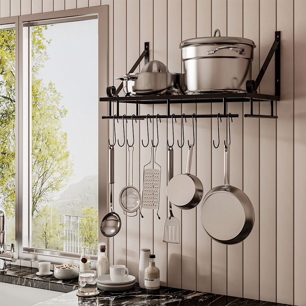 Wall Mounted Kitchen Metal Shelves Hanging Pot Rack with 10 Hooks 45X24CM