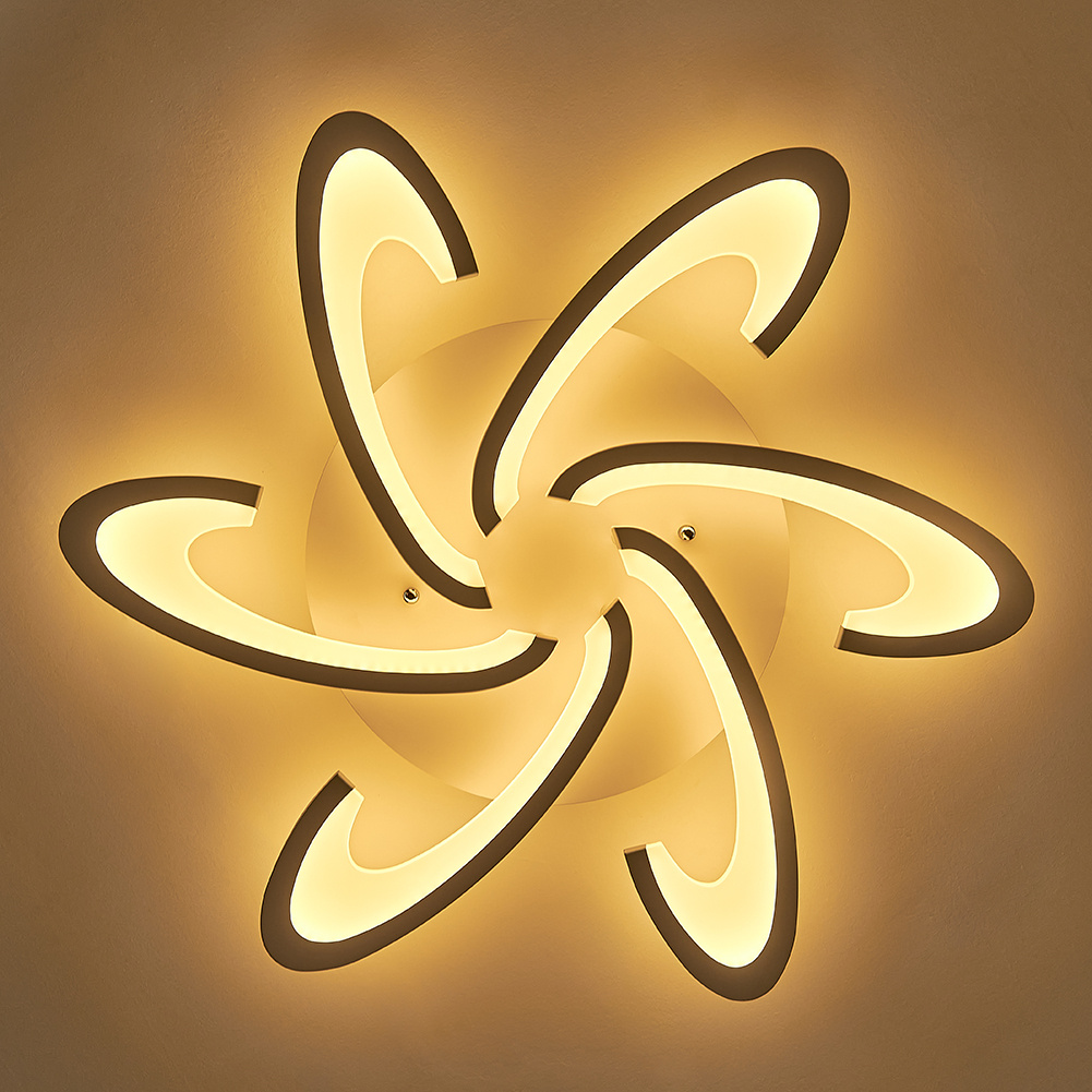 73cm Dia Special Design Energy-efficient LED Ceiling Light