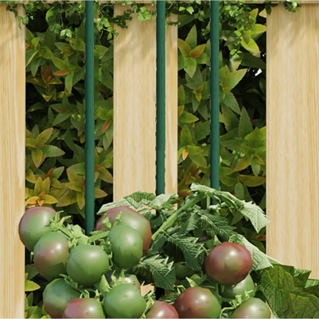 Garden Plant Stakes 30 pcs Green 60 cm Steel