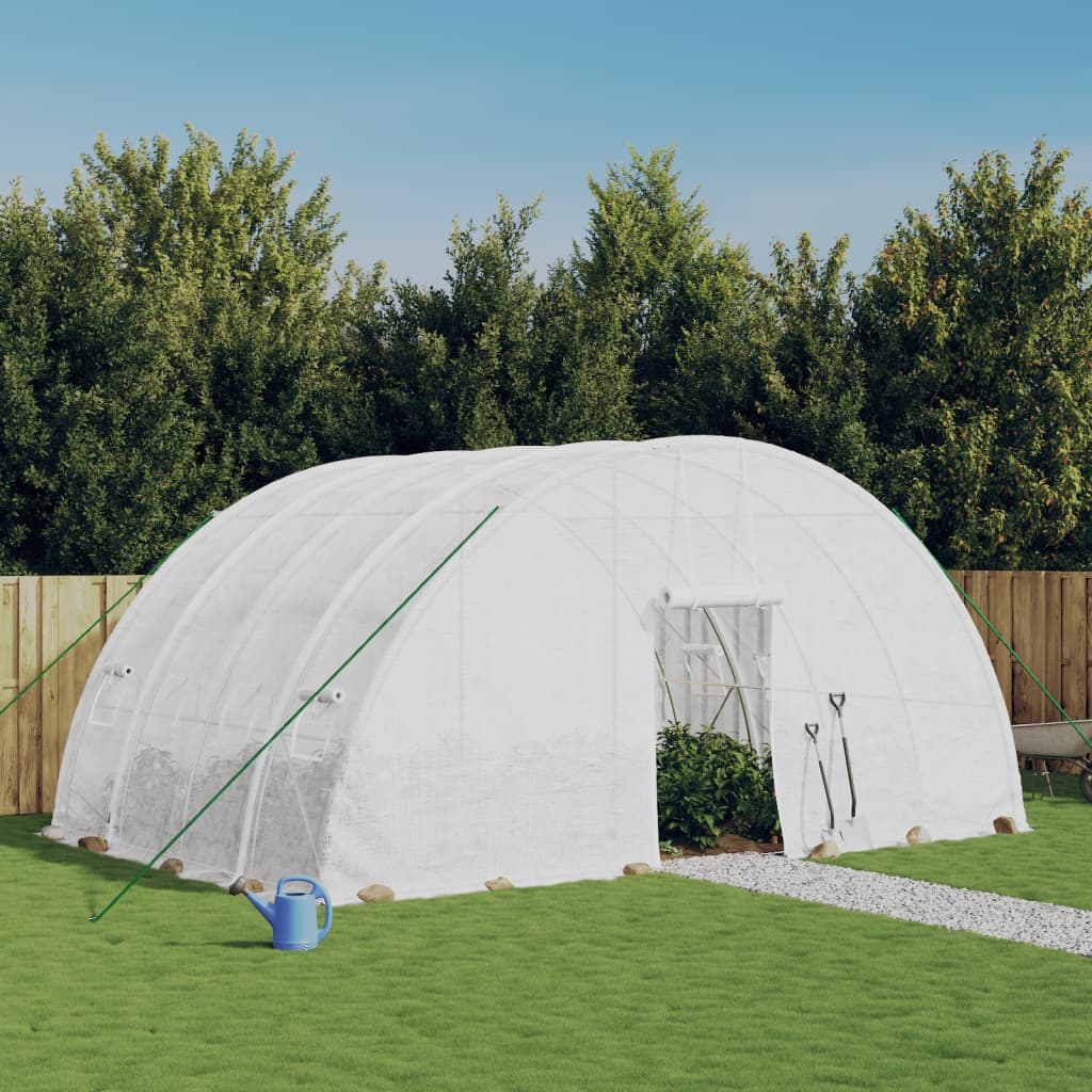 Greenhouse with Steel Frame White 24 m2 6x4x2.85 m