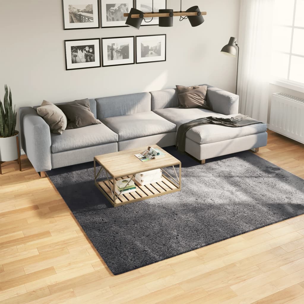 Rug Short Pile Soft and Washable Anthracite 240x240cm