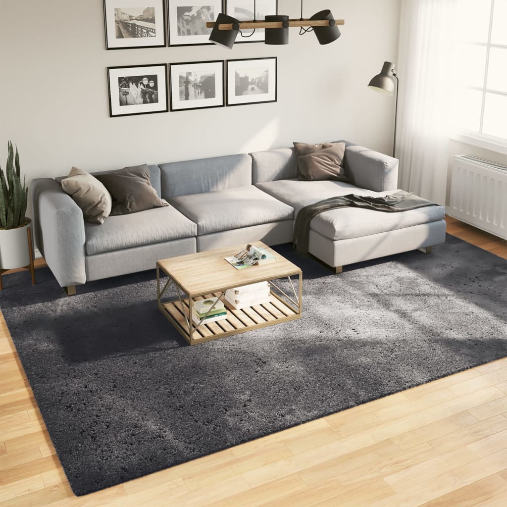Rug Short Pile Soft and Washable Anthracite 240x340cm