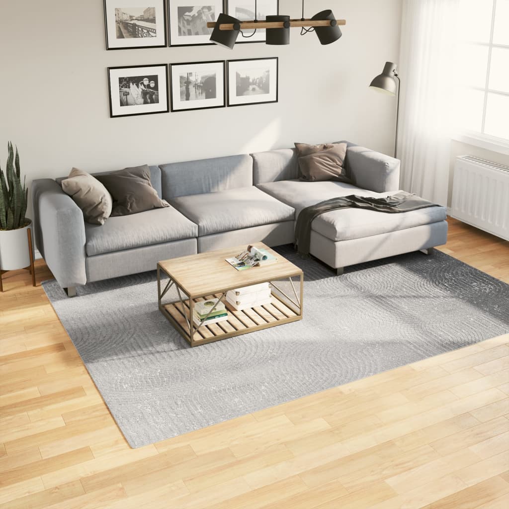 Rug IZA Short Pile Scandinavian Look Grey 200x280 cm