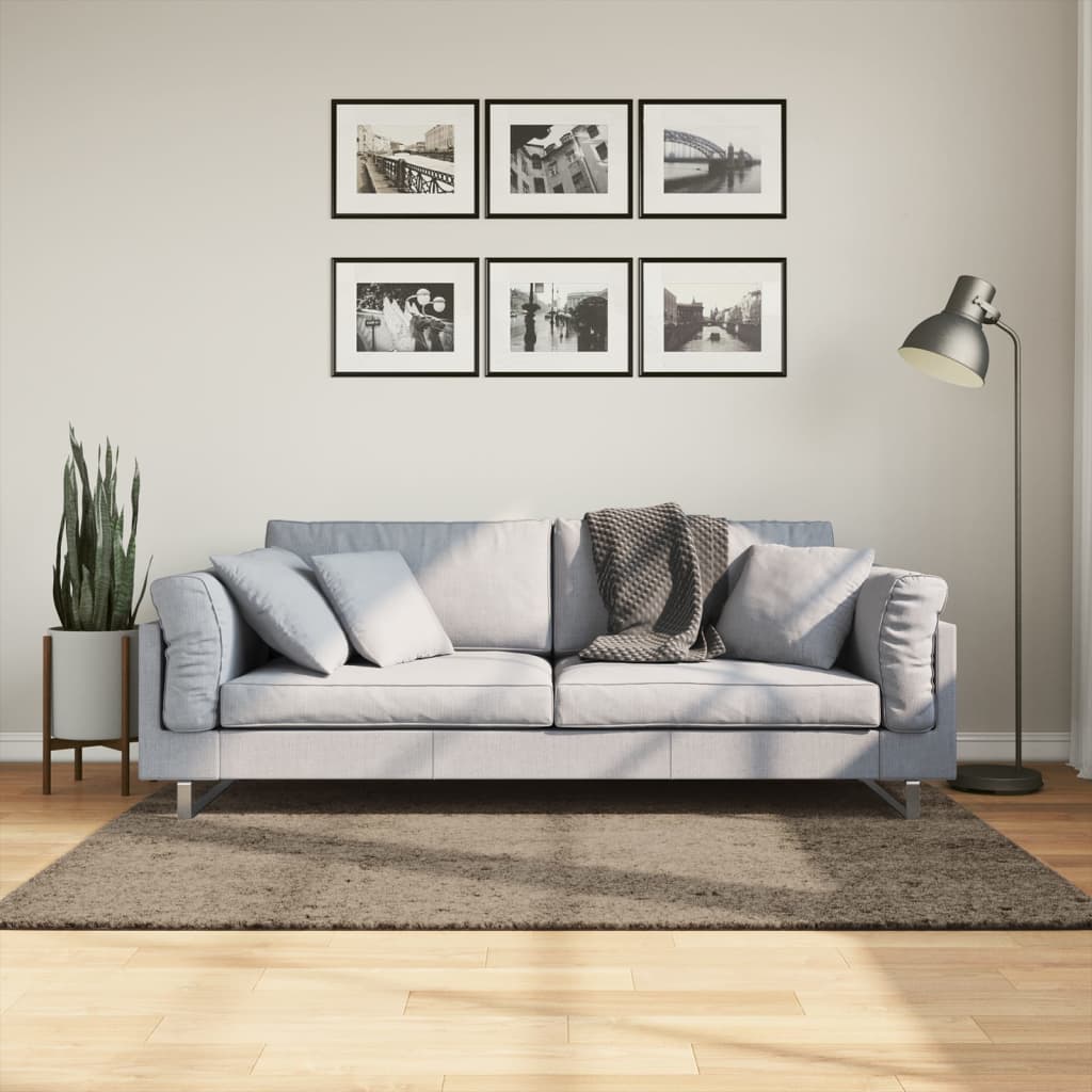 Rug ISTAN High Pile Shiny Look Grey 120x170cm