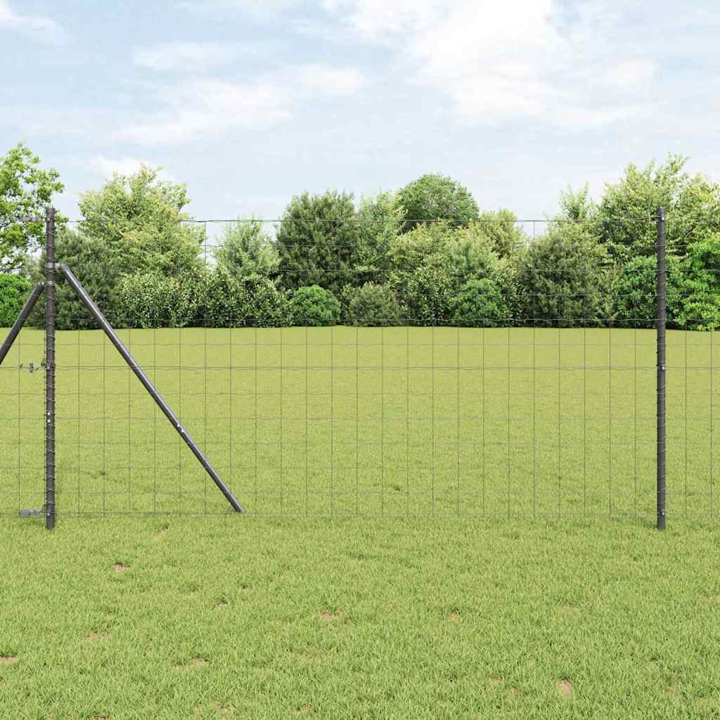 Euro Fence with 13 Posts 1x25 m Galvanised Steel Grey
