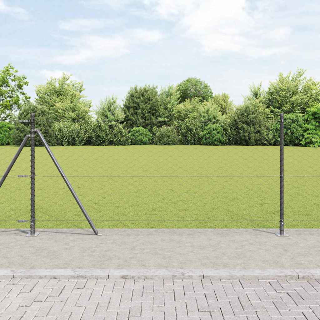 Hexagon Fence Grey 1x10 m Steel
