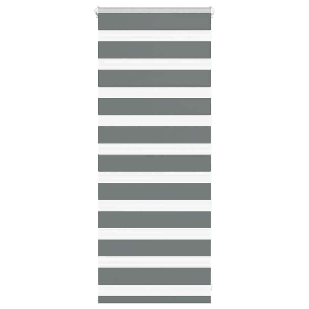 Zebra Blind Dark Grey 55x100 cm Fabric Width 50.9 cm Polyester
