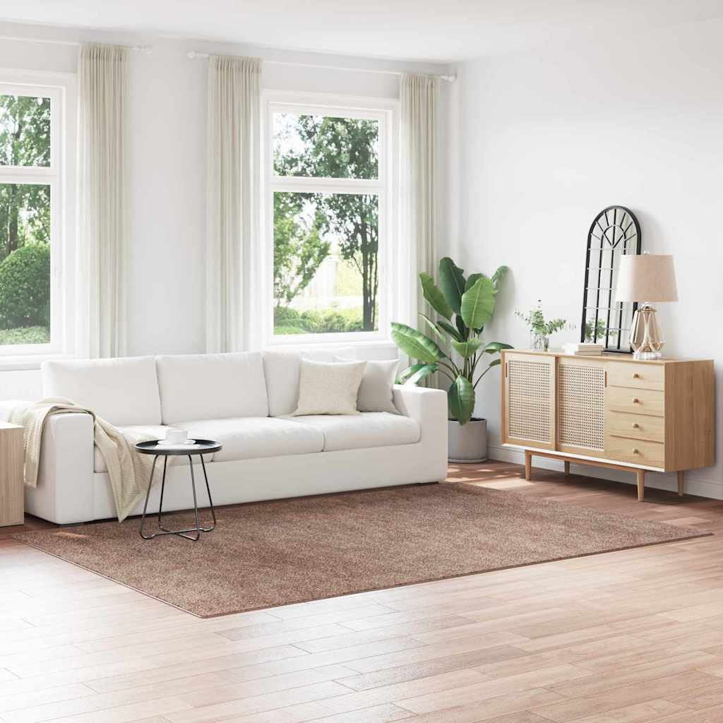 Shaggy Rug with Latex Backing Brown 200x290 cm