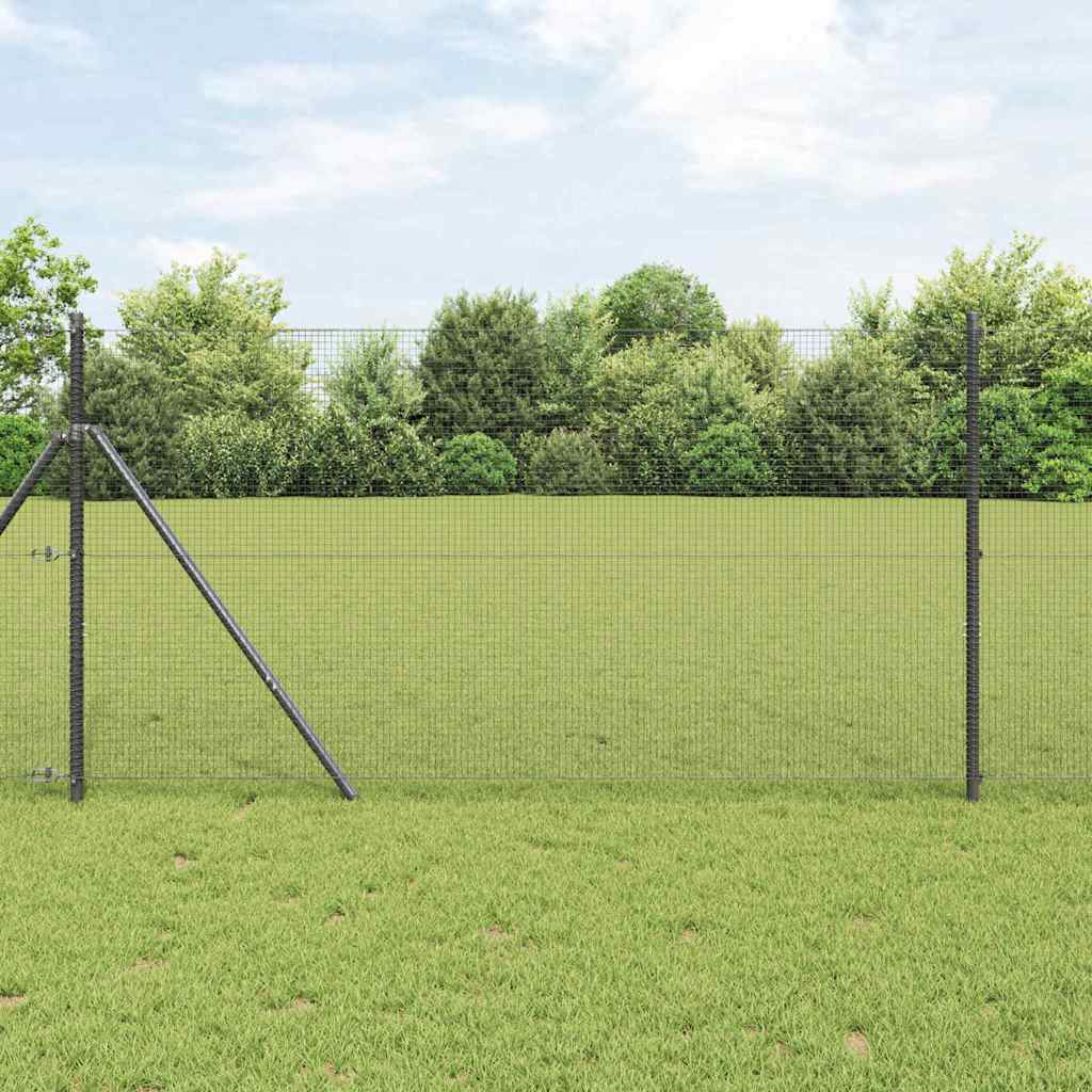Welded Wire Fence Grey 1x100 m Steel
