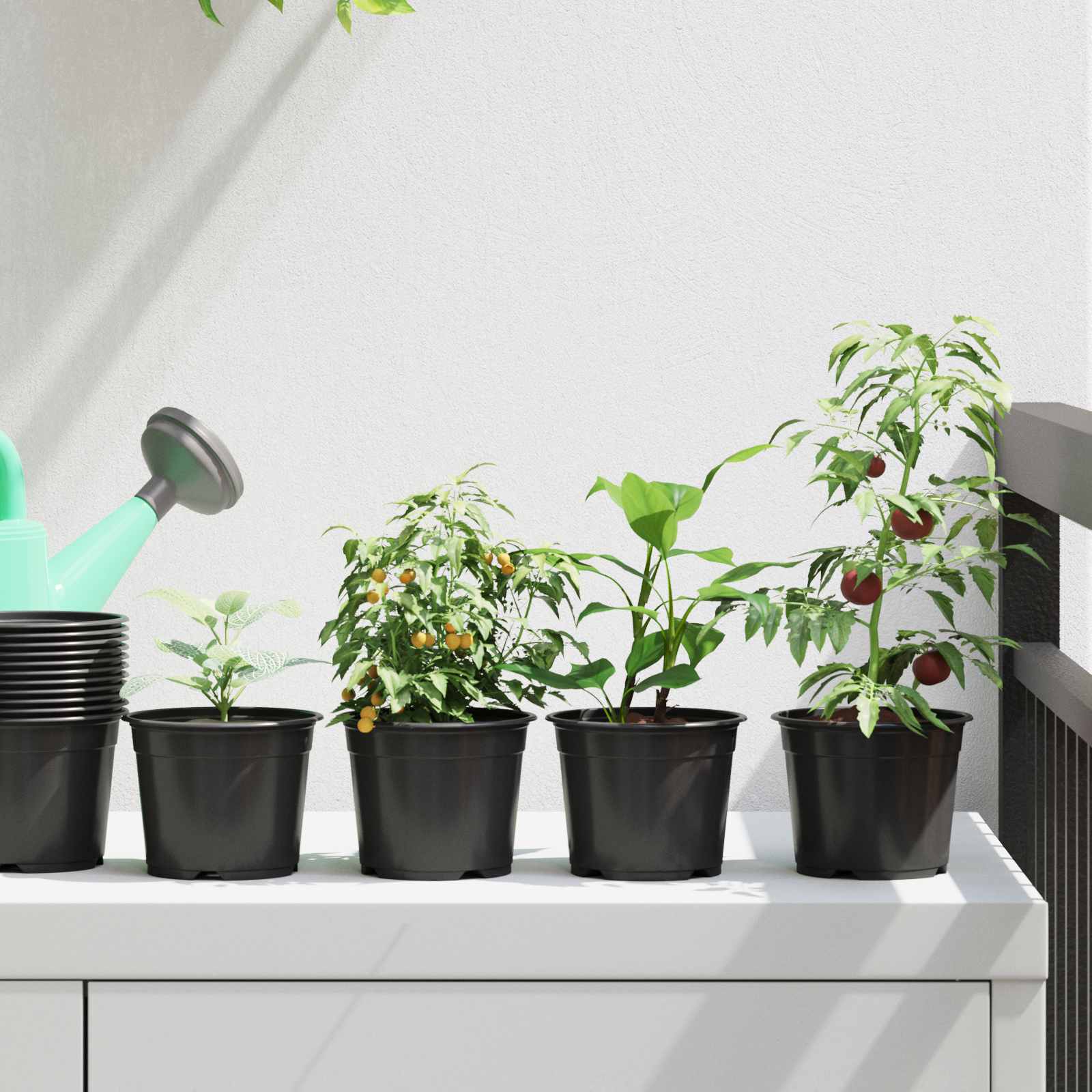 TOHVALE Flower Pot 50 pcs Dia 10x8 cm Plastic - Black