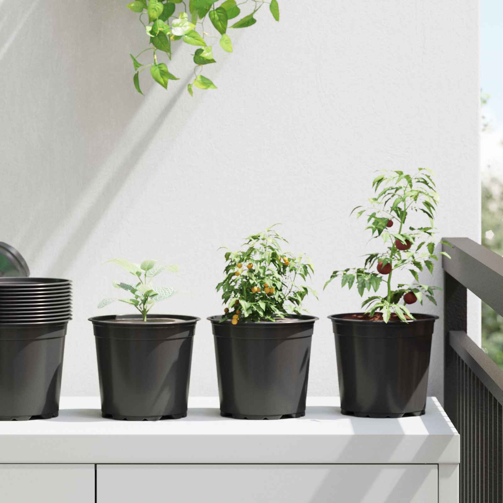 TOHVALE Flower Pot 50 pcs Dia 15x13 cm Plastic - Black