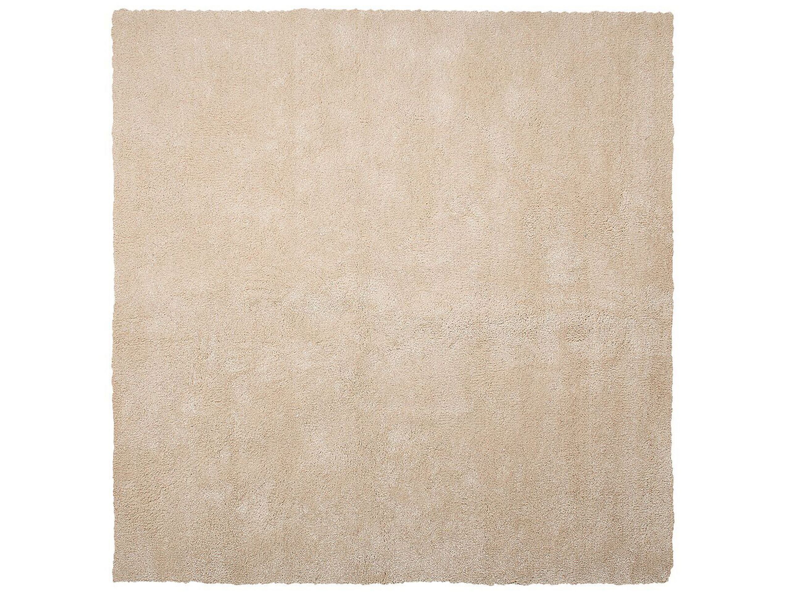 Shaggy Area Rug 200x200cm Beige