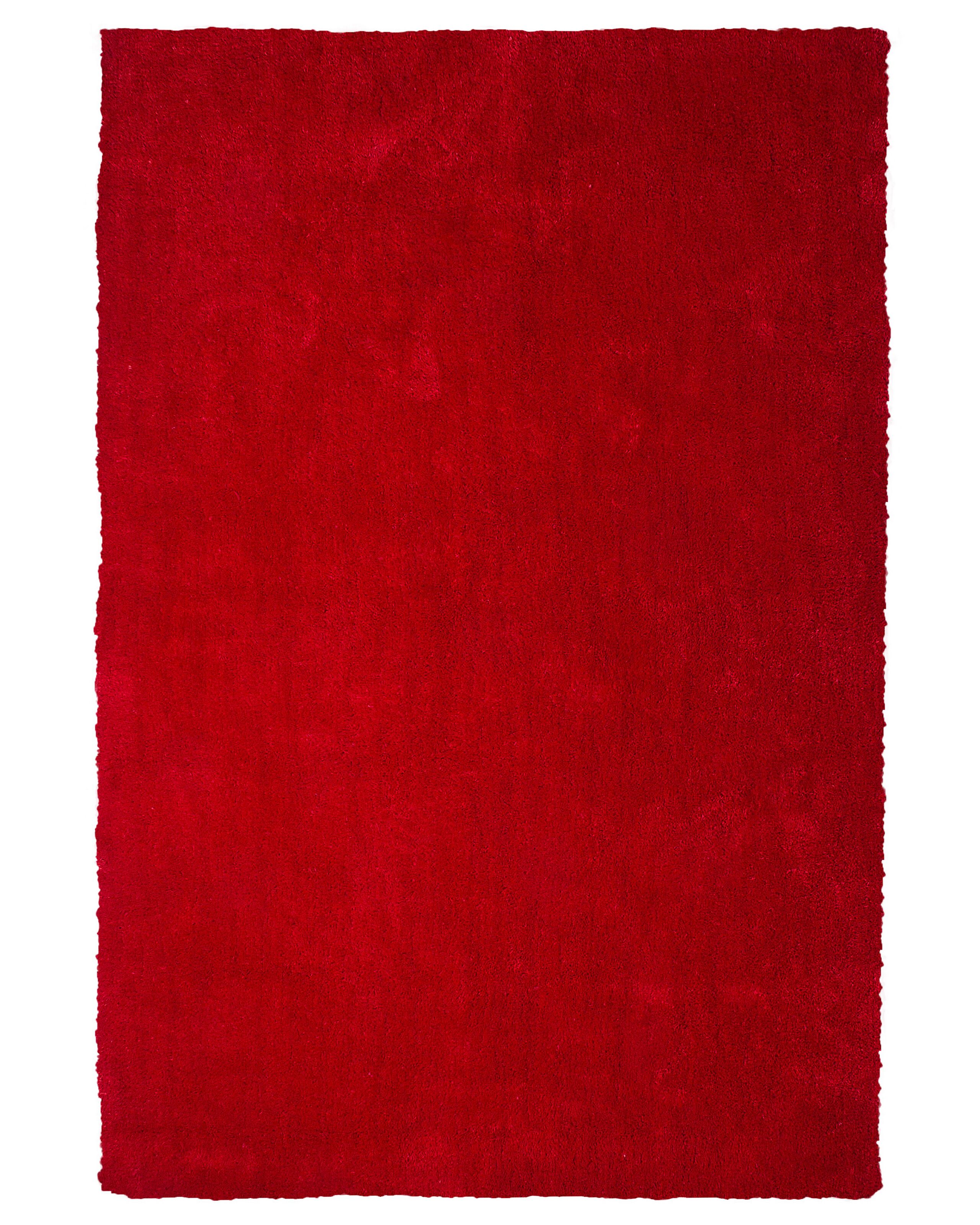 Shaggy Area Rug 140x200cm Red