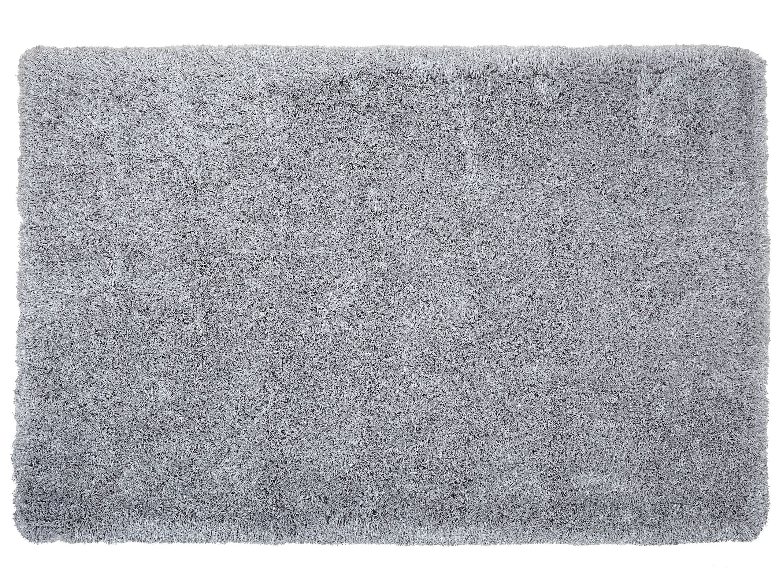 Shaggy Area Rug 200x300cm Grey