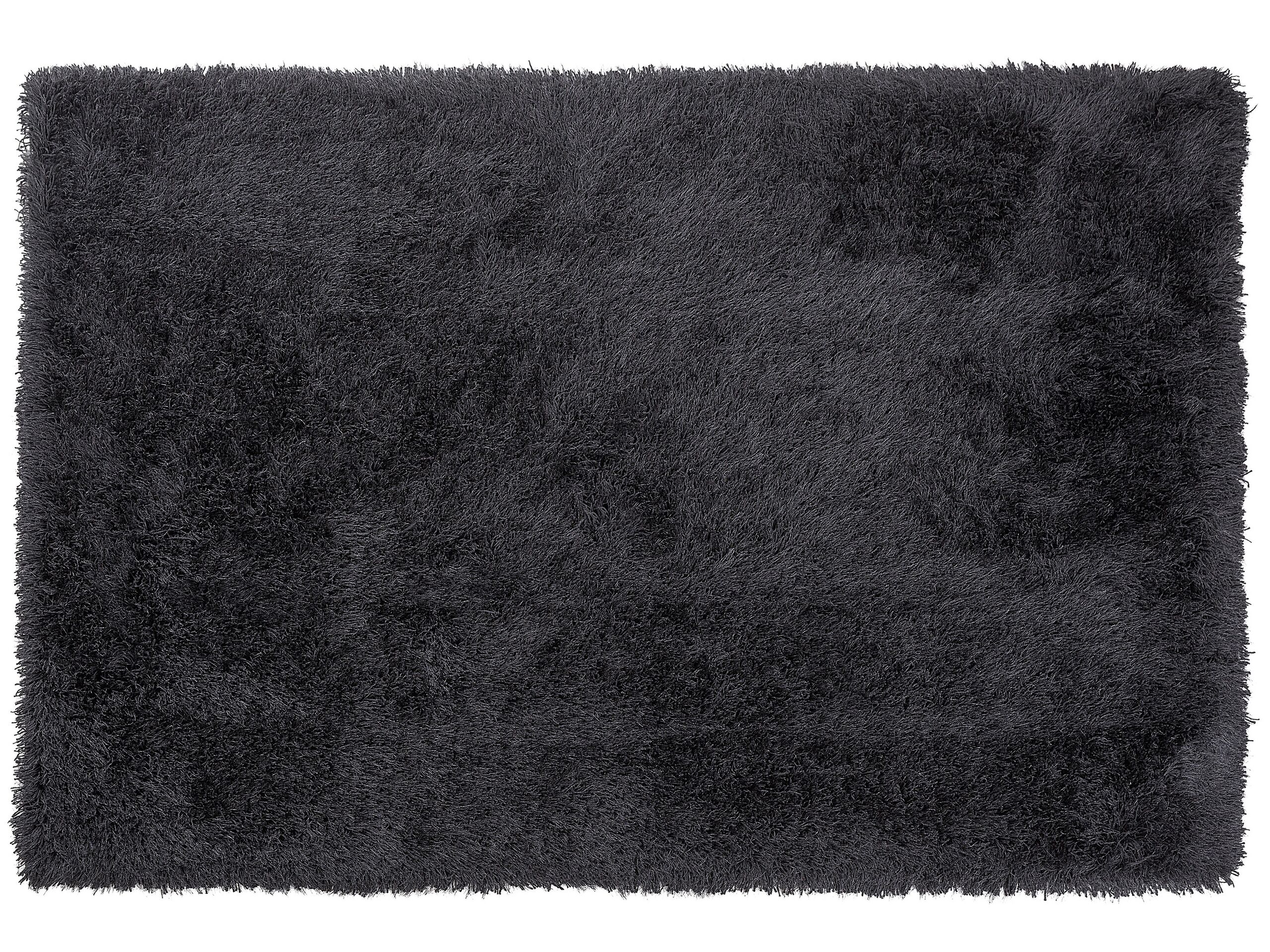 Shaggy Area Rug 200x300cm Black
