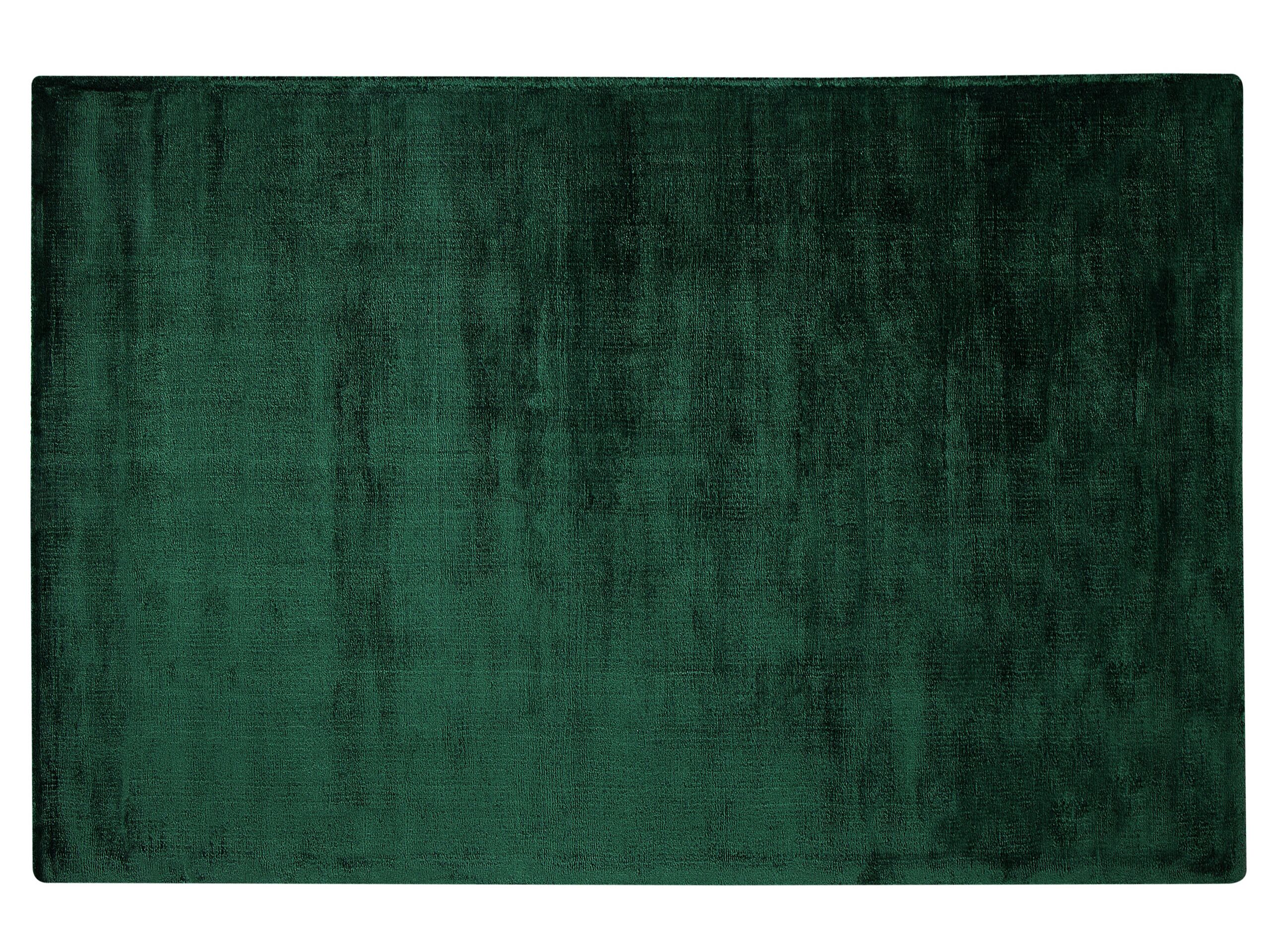 Viscose Area Rug 140x200cm Green