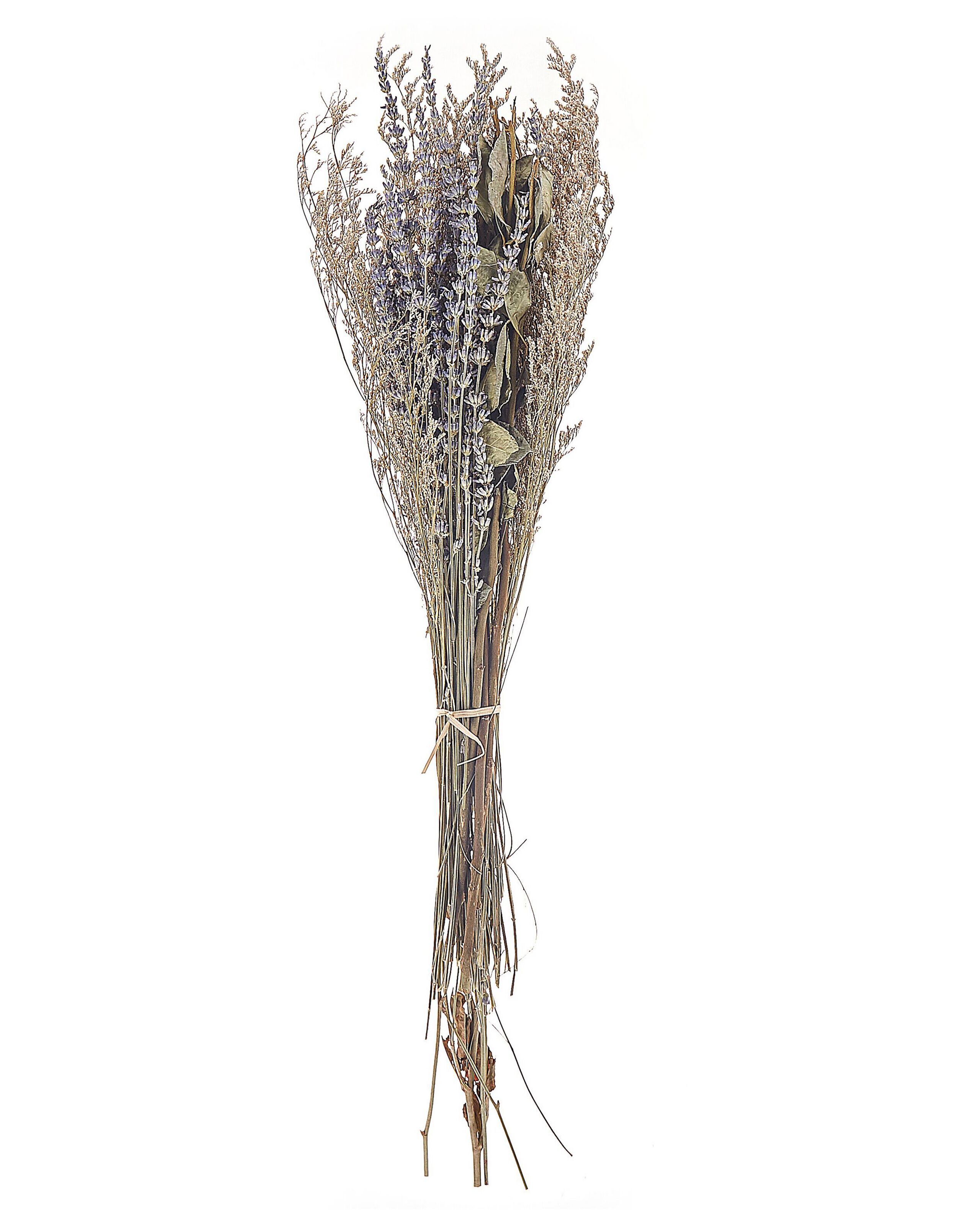 Dried Flower Bouquet 70cm Violet and Green