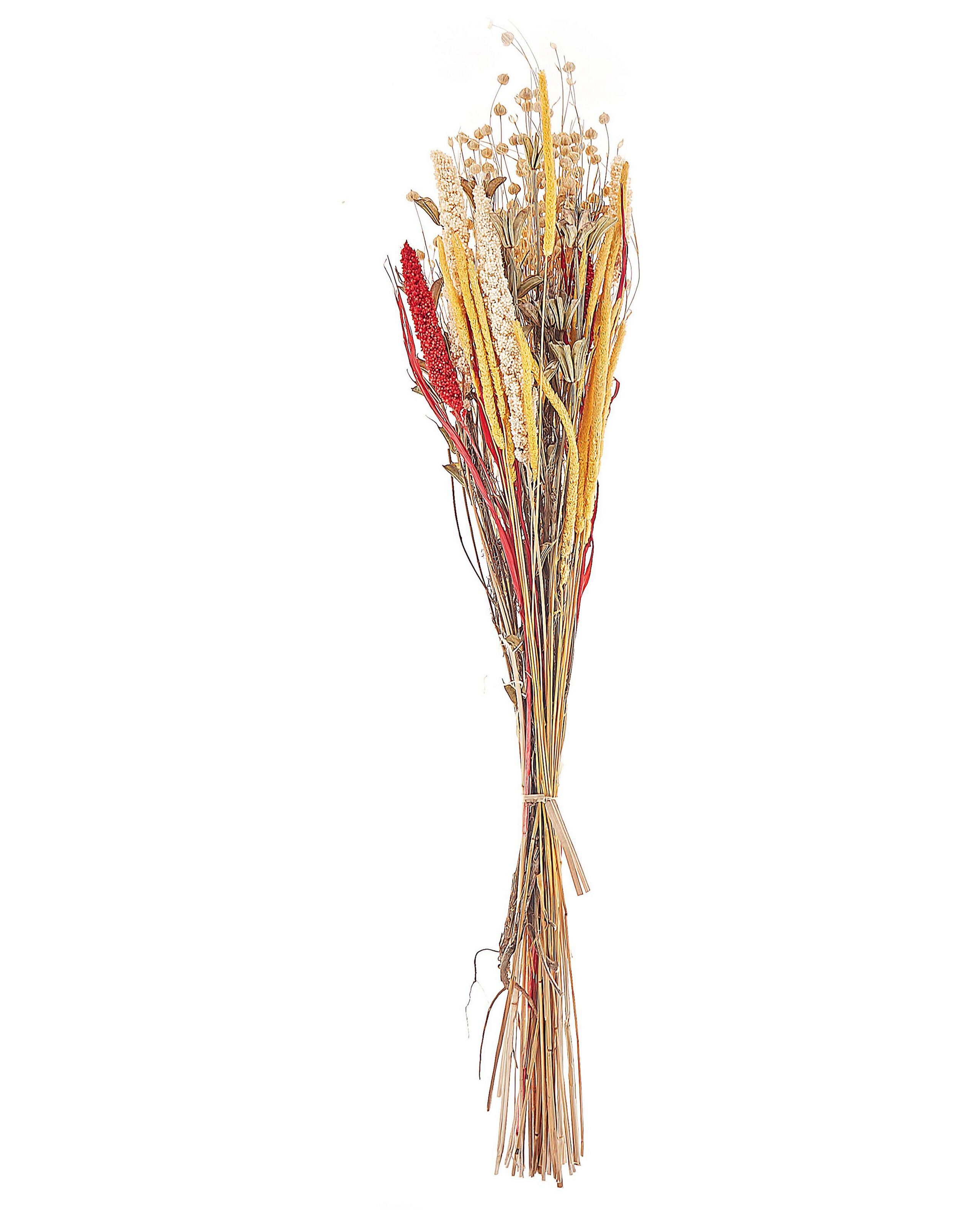 Dried Flower Bouquet 65cm Red and Yellow