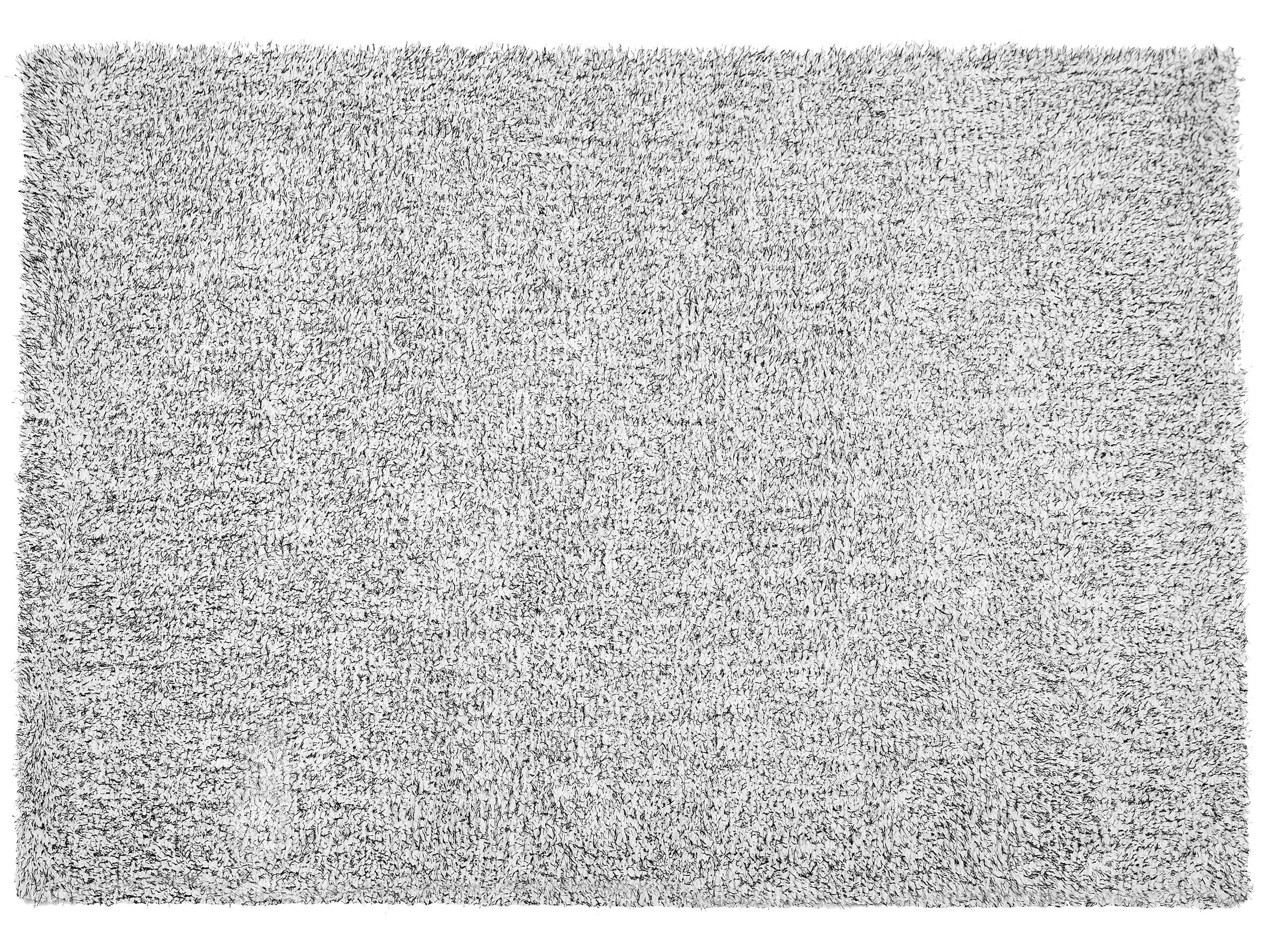 Shaggy Area Rug 160x230cm Salt and Pepper
