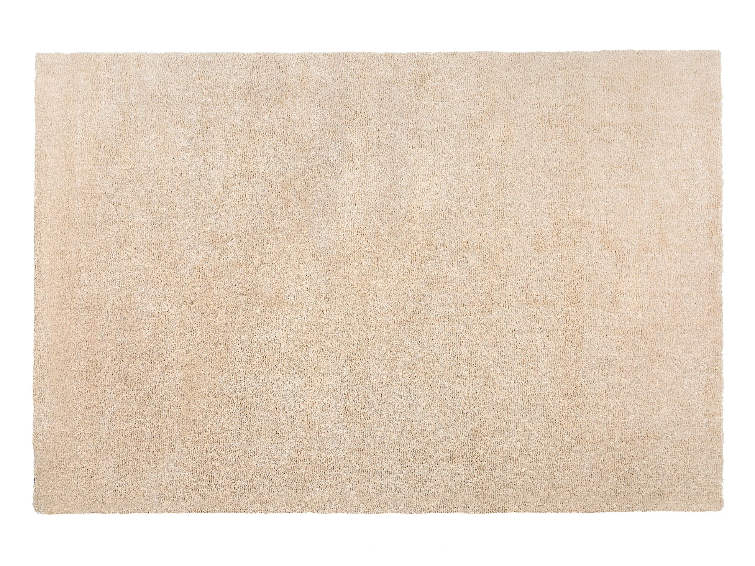 Shaggy Area Rug 200x300cm Sand Beige