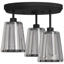 CANVASGATE 3-Light Crystal Glass Ceiling Light with Dual Mounting - Black