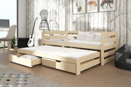 ERIN Wooden 2 Drawers Storage Double Bed with Trundle and Foam Mattress - Pine