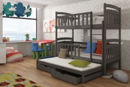 SALLY Wooden 2 Drawers Storage Double Bed with Trundle and Foam Mattress - Graphite