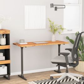 Desk Top 120x50x2.5 cm Rectangular Solid Wood Acacia