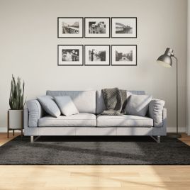 Rug ISTAN High Pile Shiny Look Anthracite 140x200cm