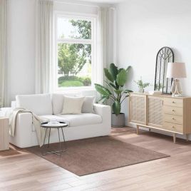 Shaggy Rug High Pile Brown 160x160 cm PP