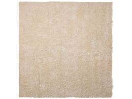 Shaggy Area Rug 200x200cm Beige